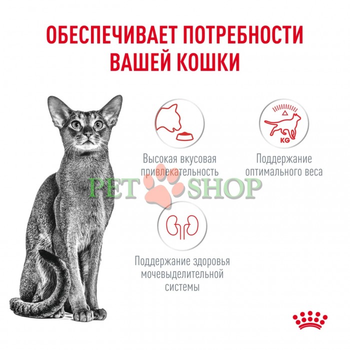 <p><strong>Royal Canin&nbsp;Fussy&nbsp;Exigent - корм для кошек, привередливых к ВКУСУ продукта 2 кг&nbsp;</strong></p>