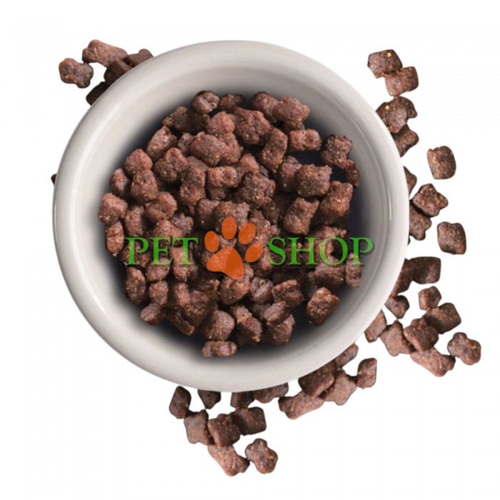 <p><strong>Leonardo Grain free Kitten - </strong>Hrană ușor digestibilă pentru pisoi, cu carne proaspătă de pasăre. Potrivită pentru pisoi sensibili și pentru pisici lactante. Dimensiunea perfectă a crochetelor. &Icirc;ntărește sistemul imunitar.</p>

<p>&nbsp;</p>

<p>&nbsp;</p>
