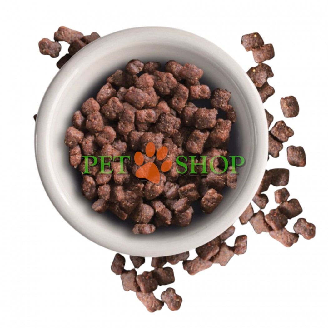 <p><strong>Leonardo Grain free Kitten - </strong>Hrană ușor digestibilă pentru pisoi, cu carne proaspătă de pasăre. Potrivită pentru pisoi sensibili și pentru pisici lactante. Dimensiunea perfectă a crochetelor. &Icirc;ntărește sistemul imunitar.</p>

<p>&nbsp;</p>

<p>&nbsp;</p>