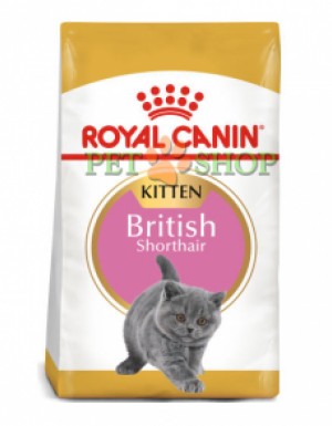 <p><strong>Полнорационный корм Royal Canin для кошек британской короткошерстной породы в возрасте до 12 месяцев.</strong></p>