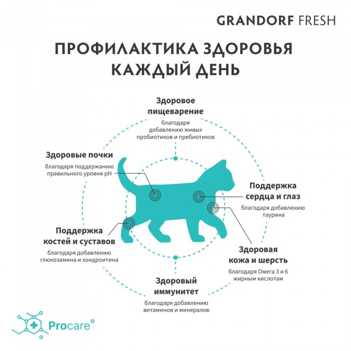 <p><strong>GRANDORF Fresh Cat KITTEN Lamb - </strong>беззерновой корм с живыми пробиотиками. Для котят от 3 недель, беременных и кормящих кошек.</p>