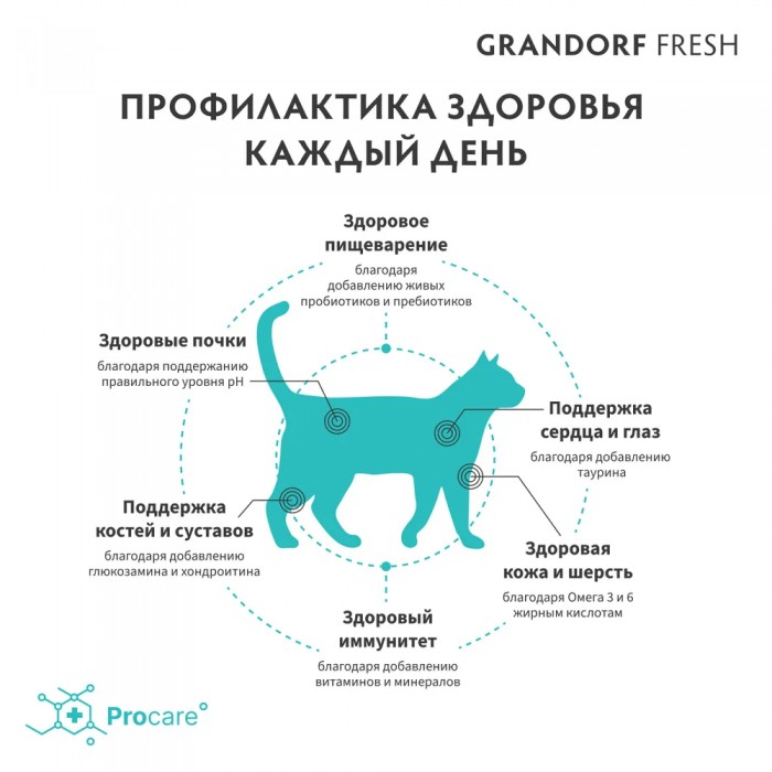 <p><strong>GRANDORF Fresh Cat ADULT Turkey -&nbsp;</strong>беззерновой корм с живыми пробиотиками. Для особо аллергичных кошек с чувствительным пищеварением.</p>