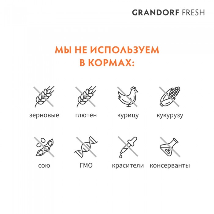 <p><strong>Grandorf Fresh Lamb Adult LARGE Cat - </strong>hrană fără cereale cu probiotice vii. Pentru pisici adulte de rasă mare cu digestie sensibilă sau predispuse la alergii.</p>