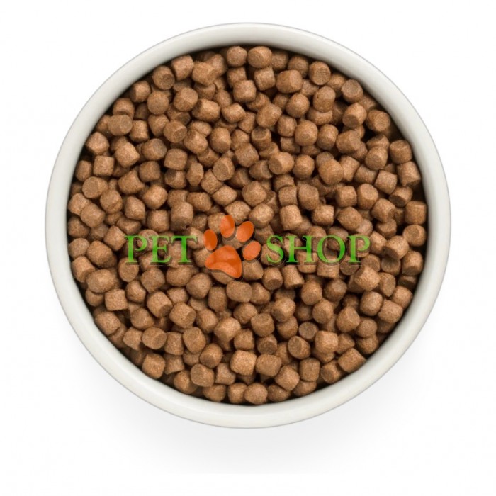 <p><strong>Grandorf Fresh Lamb Puppy -&nbsp;</strong>hrană uscată fără cereale pentru căței de toate rasele (de la 3 săptăm&acirc;ni), precum și pentru cățele gestante și care alăptează.</p>