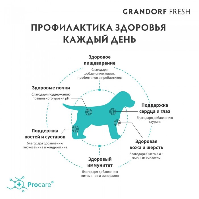 <p><strong>Grandorf Fresh Lamb Puppy -&nbsp;</strong>hrană uscată fără cereale pentru căței de toate rasele (de la 3 săptăm&acirc;ni), precum și pentru cățele gestante și care alăptează.</p>
