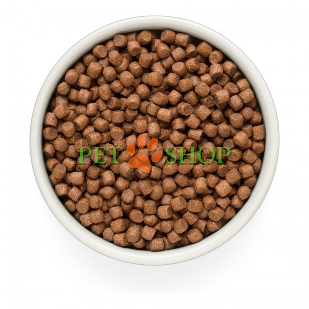 <p><strong>GRANDORF Fresh Salmon Adult Mini</strong> &ndash; Hrană fără cereale, cu probiotice vii. Destinată c&acirc;inilor adulți de talie mică, ideală pentru sănătatea pielii și a blănii sau pentru cei predispuși la alergii.</p>