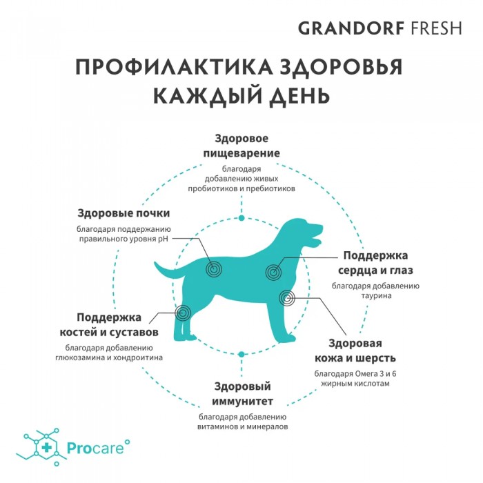 <p><strong>GRANDORF Fresh Dog Adult MEDIUM, MAXI Duck -&nbsp;</strong>Hrană fără cereale cu probiotice vii, pentru c&acirc;ini de talie medie și mare, cu alergii severe și digestie sensibilă.</p>