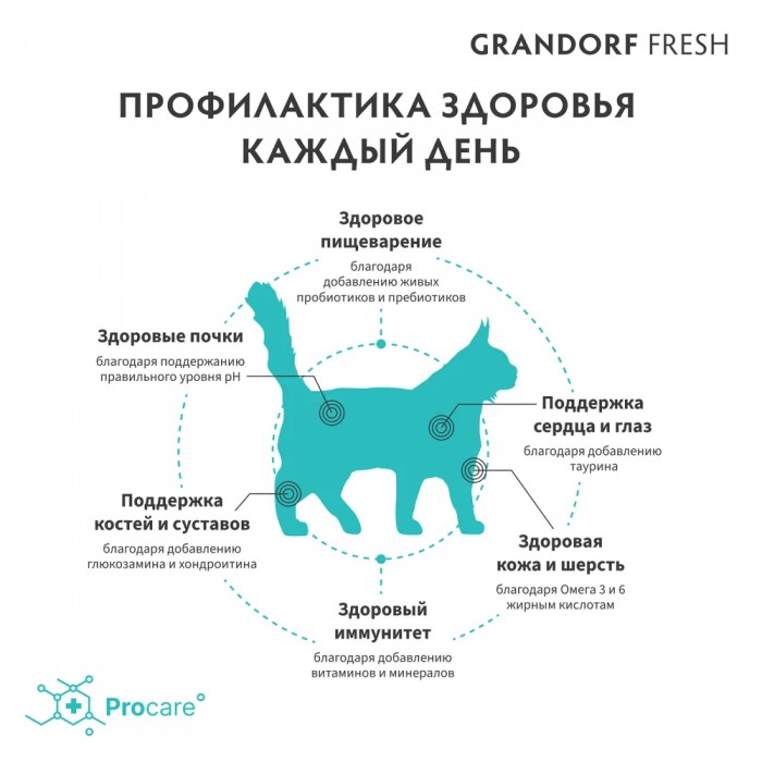 <p><strong>Grandorf Fresh Lamb Adult LARGE Cat - </strong>hrană fără cereale cu probiotice vii. Pentru pisici adulte de rasă mare cu digestie sensibilă sau predispuse la alergii.</p>