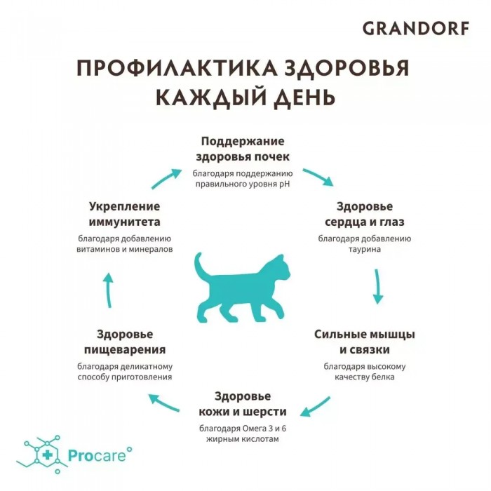 <p><strong>Grandorf Cat Kitten Lamb & Turkey &mdash;&nbsp;это&nbsp;гипоаллергенный рацион с ягненком и индейкой&nbsp;для котят старше 3 недель, а также кормящих и беременных кошек.&nbsp;</strong></p>