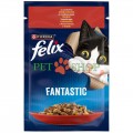 Purina Felix