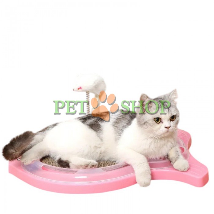 <p><strong>Когтеточка в форме рыбы с пружинной мышкой и катящимися шариками — это веселый и интерактивный способ развлечь кошку, одновременно защищая мебель от когтей.</strong></p>