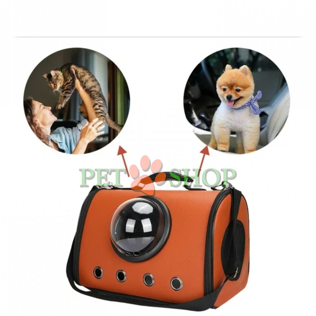 <p>Geantă de transport P131, 44&times;26&times;28 cm, pentru pisici și c&acirc;ini de talie mică.&nbsp;<strong>Culoarea se confirmă cu operatorul!</strong></p>