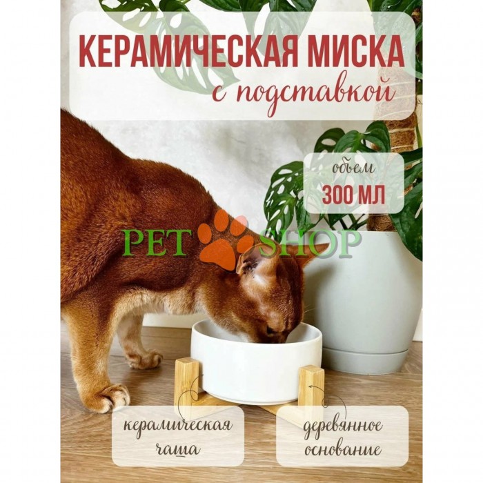<p>Bol ceramic antiderapant cu suport din bambus &mdash; un accesoriu elegant și practic pentru hrănirea confortabilă a pisicilor și c&acirc;inilor de talie mică.</p>