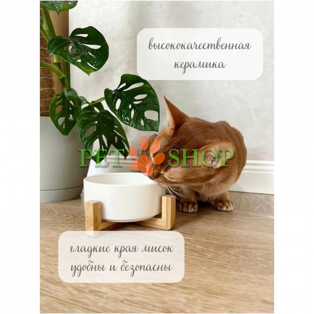 <p>Bol ceramic antiderapant cu suport din bambus &mdash; un accesoriu elegant și practic pentru hrănirea confortabilă a pisicilor și c&acirc;inilor de talie mică.</p>
